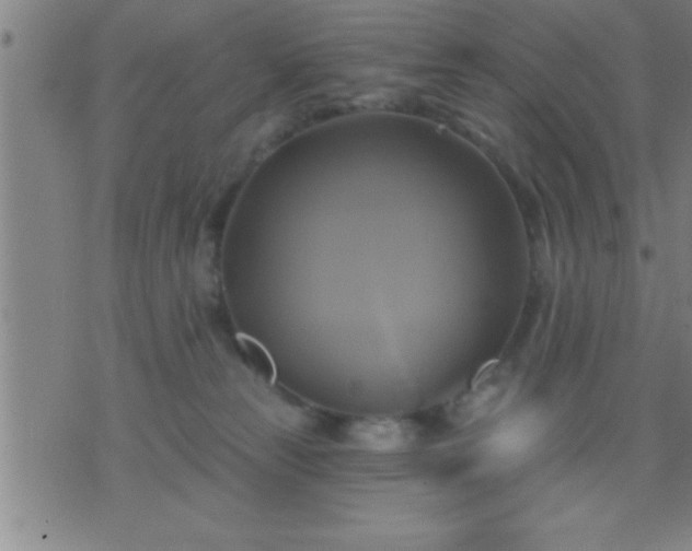 X0000075900181200609221946