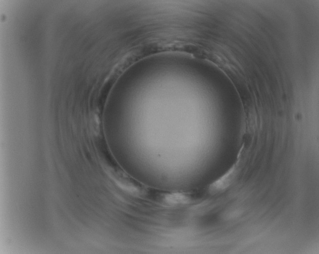 X0000075900183200609221946