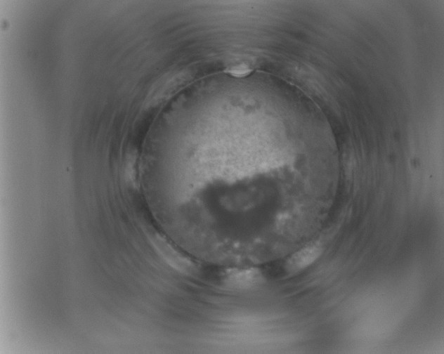 X0000075900185200609221946