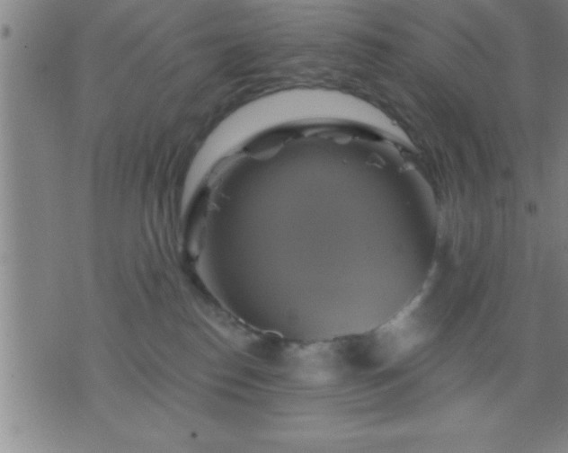 X0000075900186200609221946