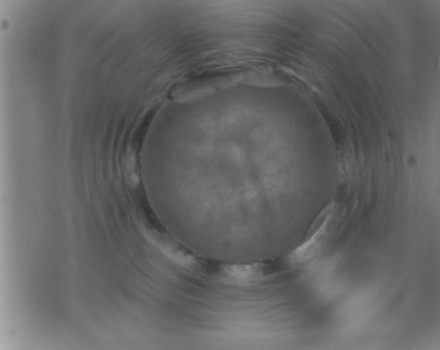 X0000075900187200609221946