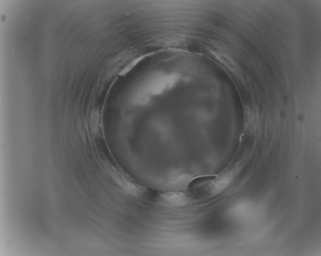 X0000075900189200609221946