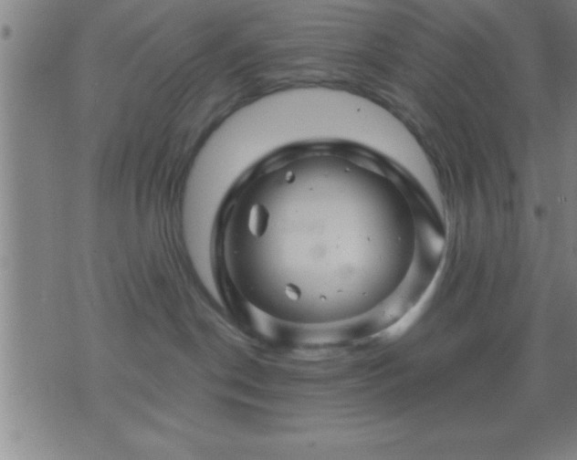 X0000075900190200609221946