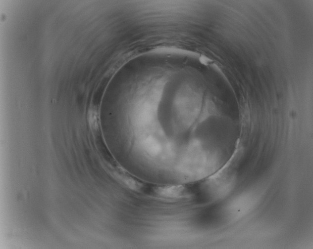 X0000075900191200609221946