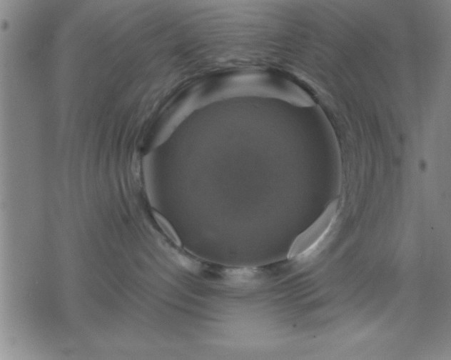 X0000075900192200609221946