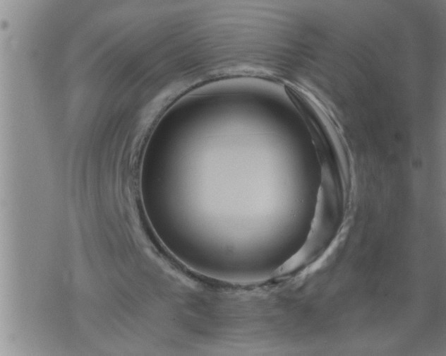 X0000075900193200609221945