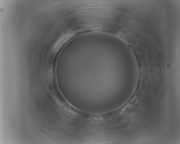 X0000075900194200609221945