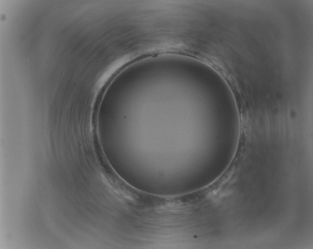 X0000075900196200609221945