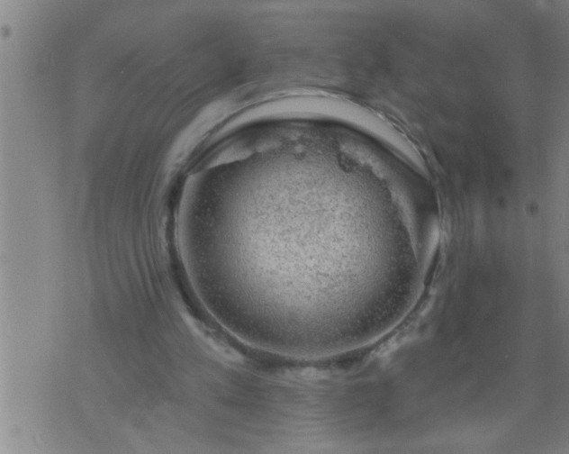 X0000075900197200609221945