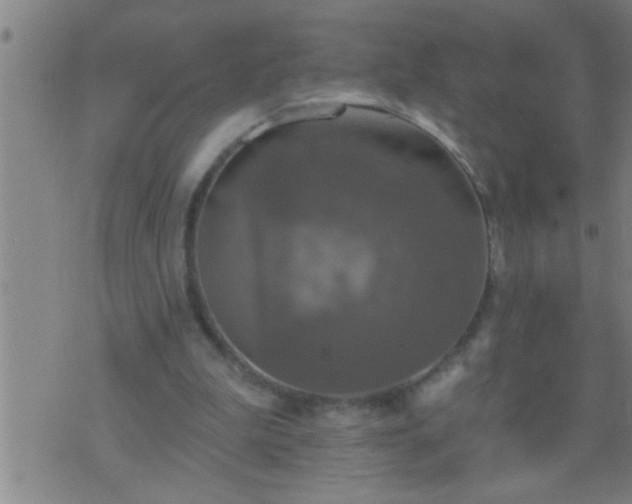 X0000075900199200609221945