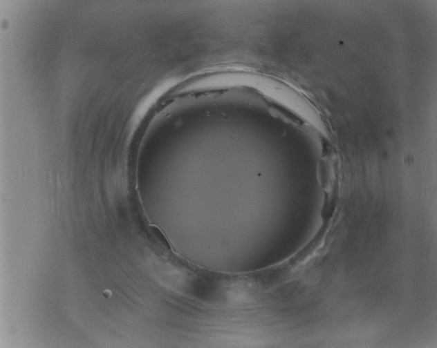 X0000075900200200609221945