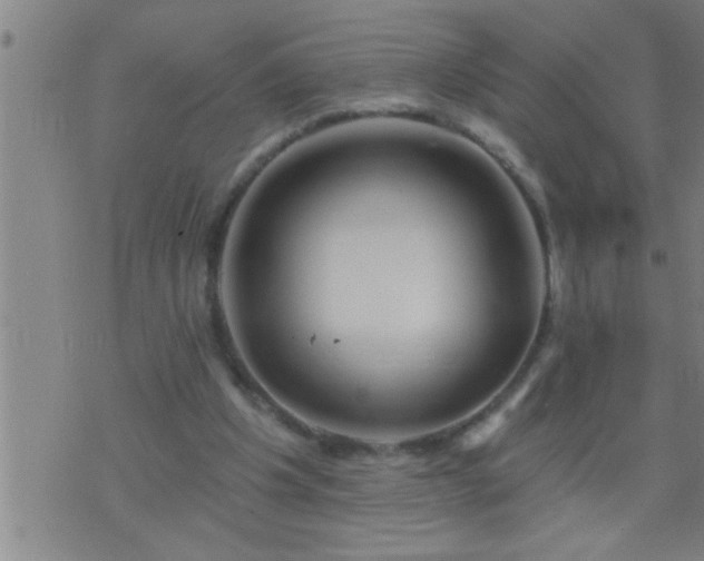 X0000075900201200609221945