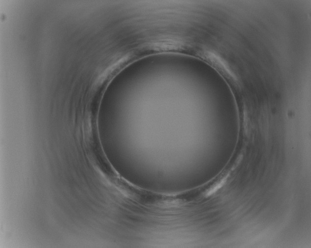 X0000075900202200609221945