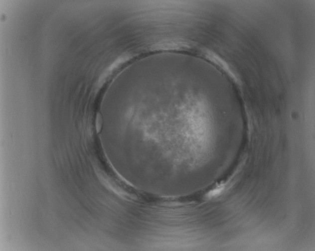 X0000075900203200609221945