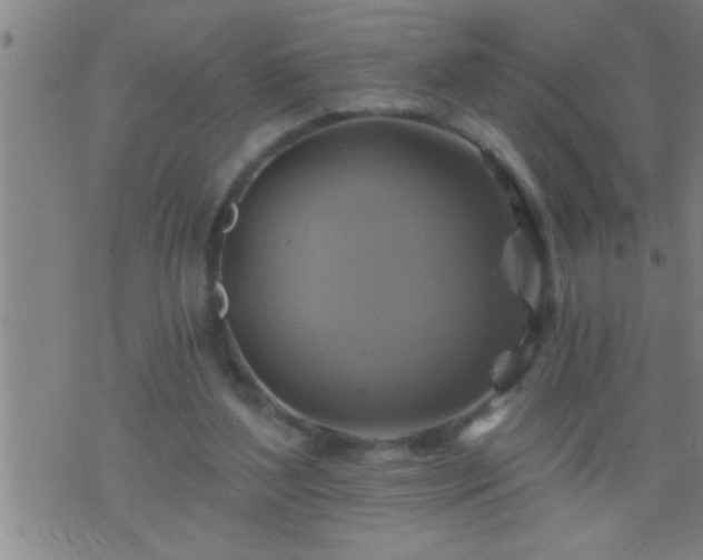 X0000075900204200609221945