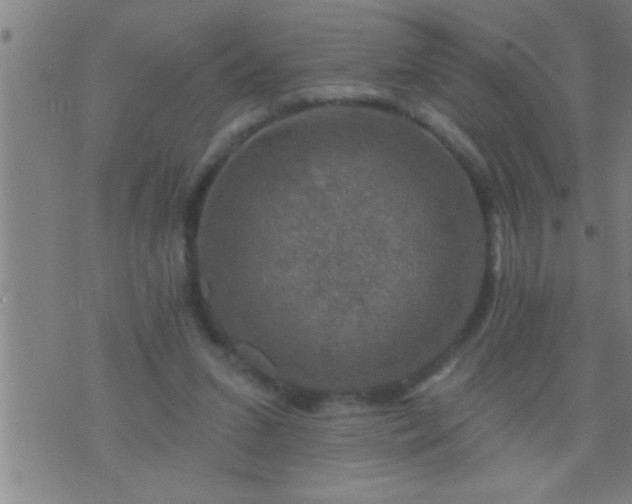 X0000075900207200609221945