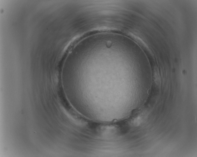 X0000075900208200609221945