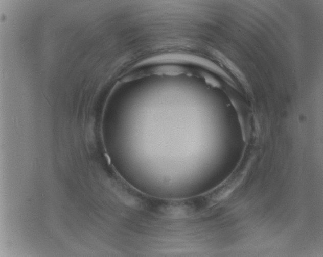 X0000075900209200609221945