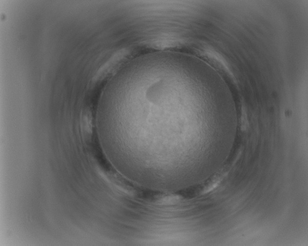 X0000075900210200609221945