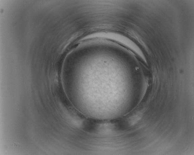 X0000075900212200609221945