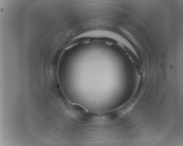 X0000075900213200609221945