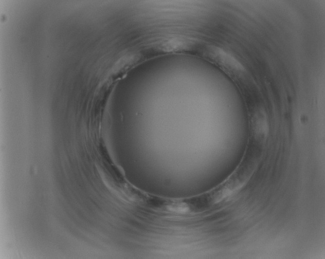 X0000075900214200609221945