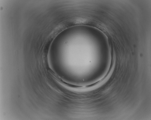 X0000075900215200609221945