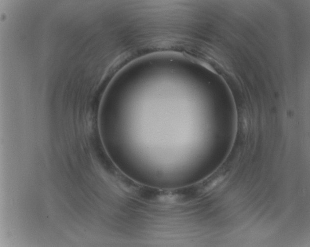 X0000075900216200609221945