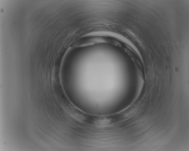 X0000075900217200609221945