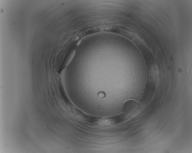 X0000075900218200609221945