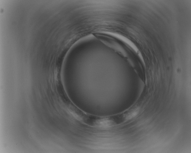 X0000075900219200609221945