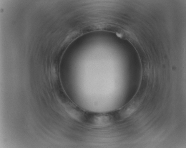 X0000075900220200609221945