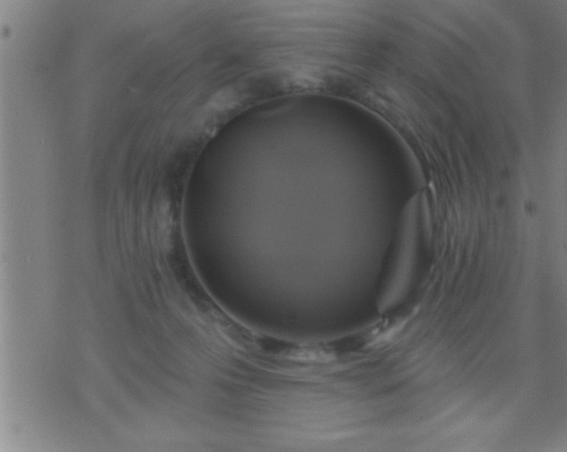 X0000075900223200609221945