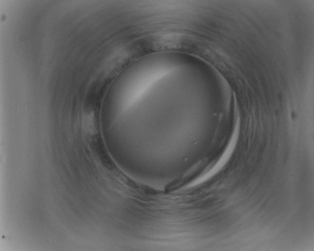 X0000075900224200609221945