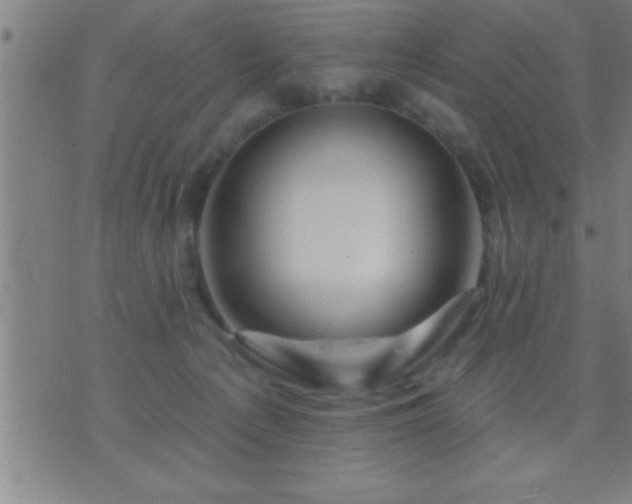 X0000075900225200609221944