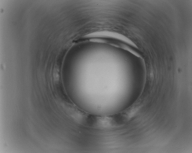 X0000075900226200609221944