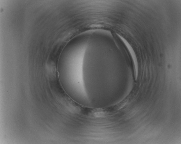 X0000075900228200609221944