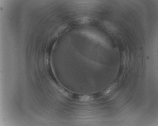 X0000075900230200609221944