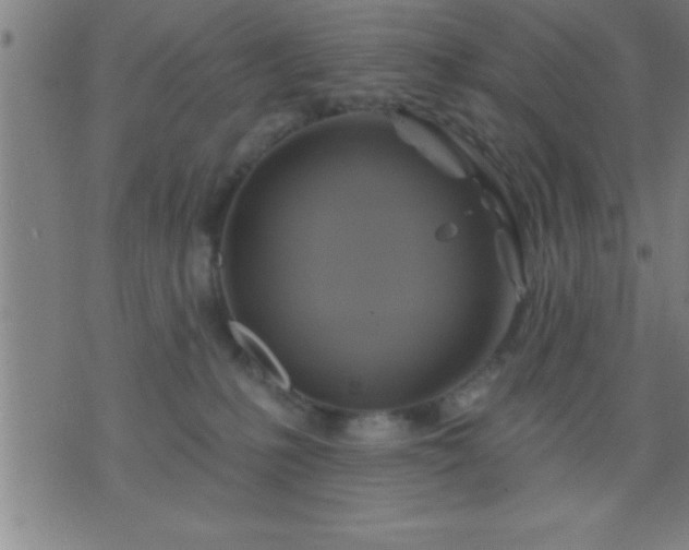 X0000075900231200609221944