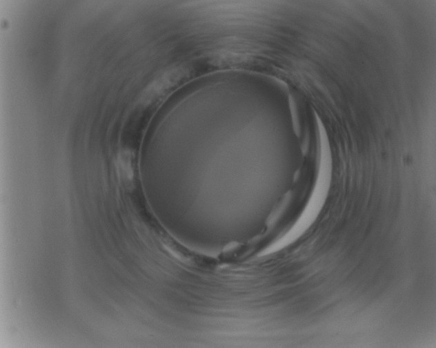 X0000075900232200609221944