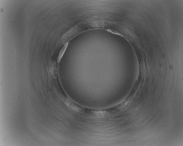 X0000075900233200609221944