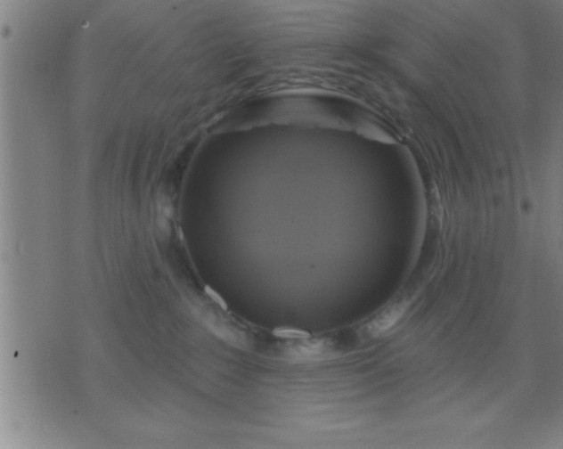 X0000075900235200609221944