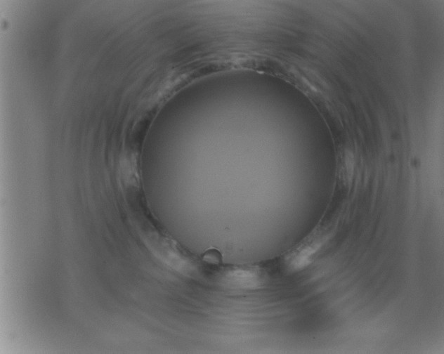 X0000075900236200609221944