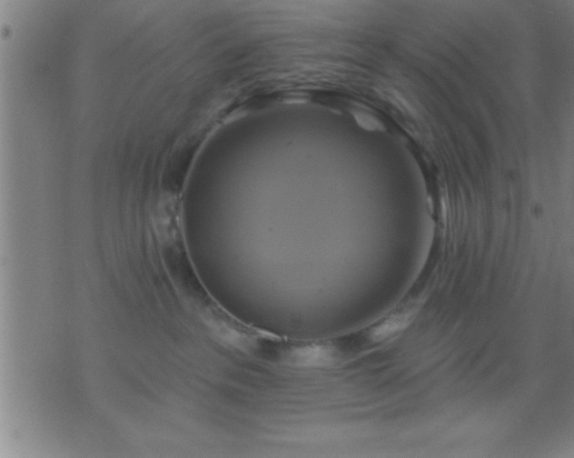 X0000075900237200609221944