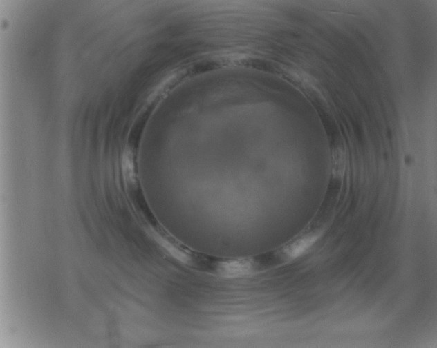 X0000075900238200609221944