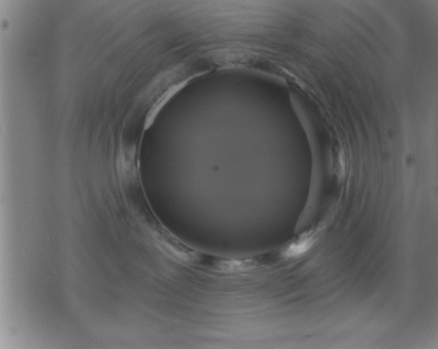 X0000075900239200609221944