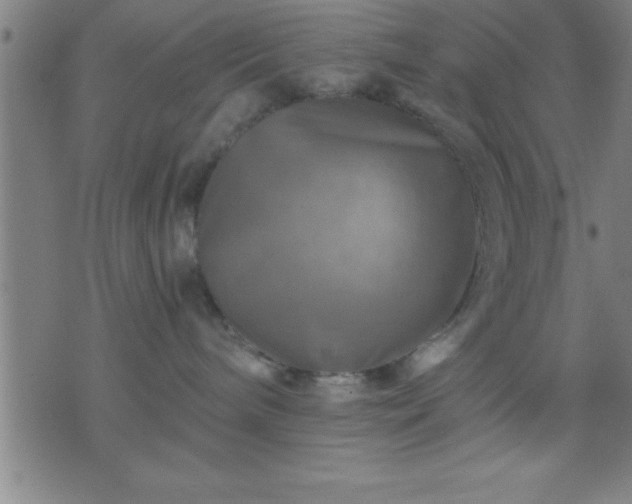 X0000075900240200609221944