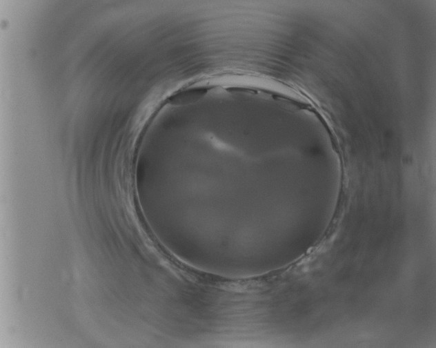 X0000075900241200609221943