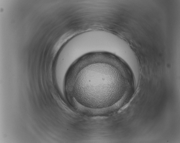 X0000075900242200609221943