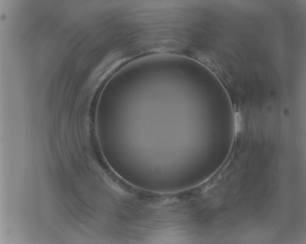 X0000075900243200609221944